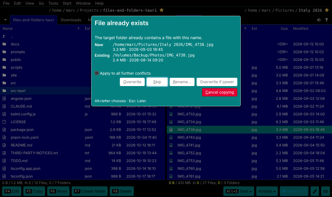 The question when a file exists: new and existing photo with size and date, buttons Overwrite, Skip, Rename and Overwrite if newer
