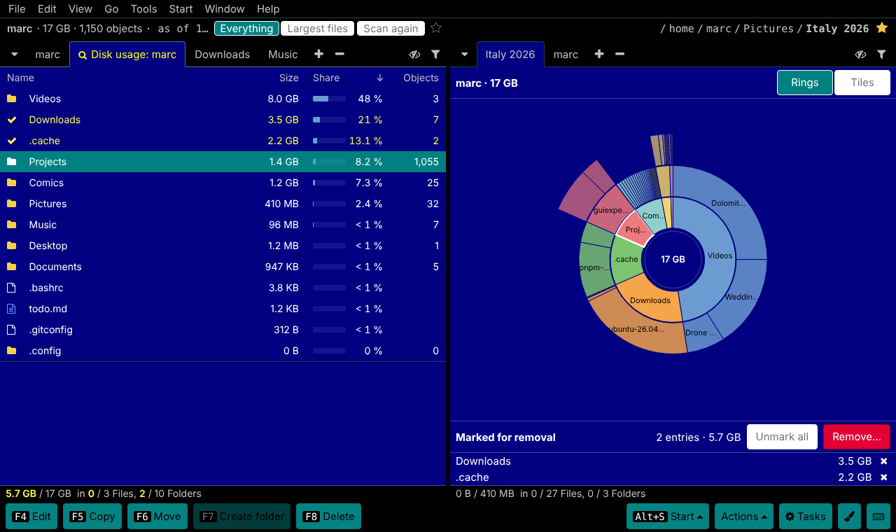 Disk usage of the home folder: list by size with share bars and a ring chart, two folders marked for removal